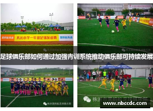 足球俱乐部如何通过加强青训系统推动俱乐部可持续发展