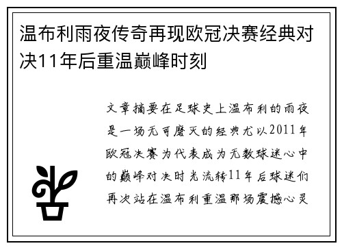 温布利雨夜传奇再现欧冠决赛经典对决11年后重温巅峰时刻